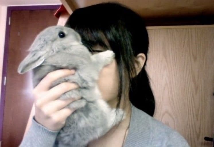 Bunny Worship