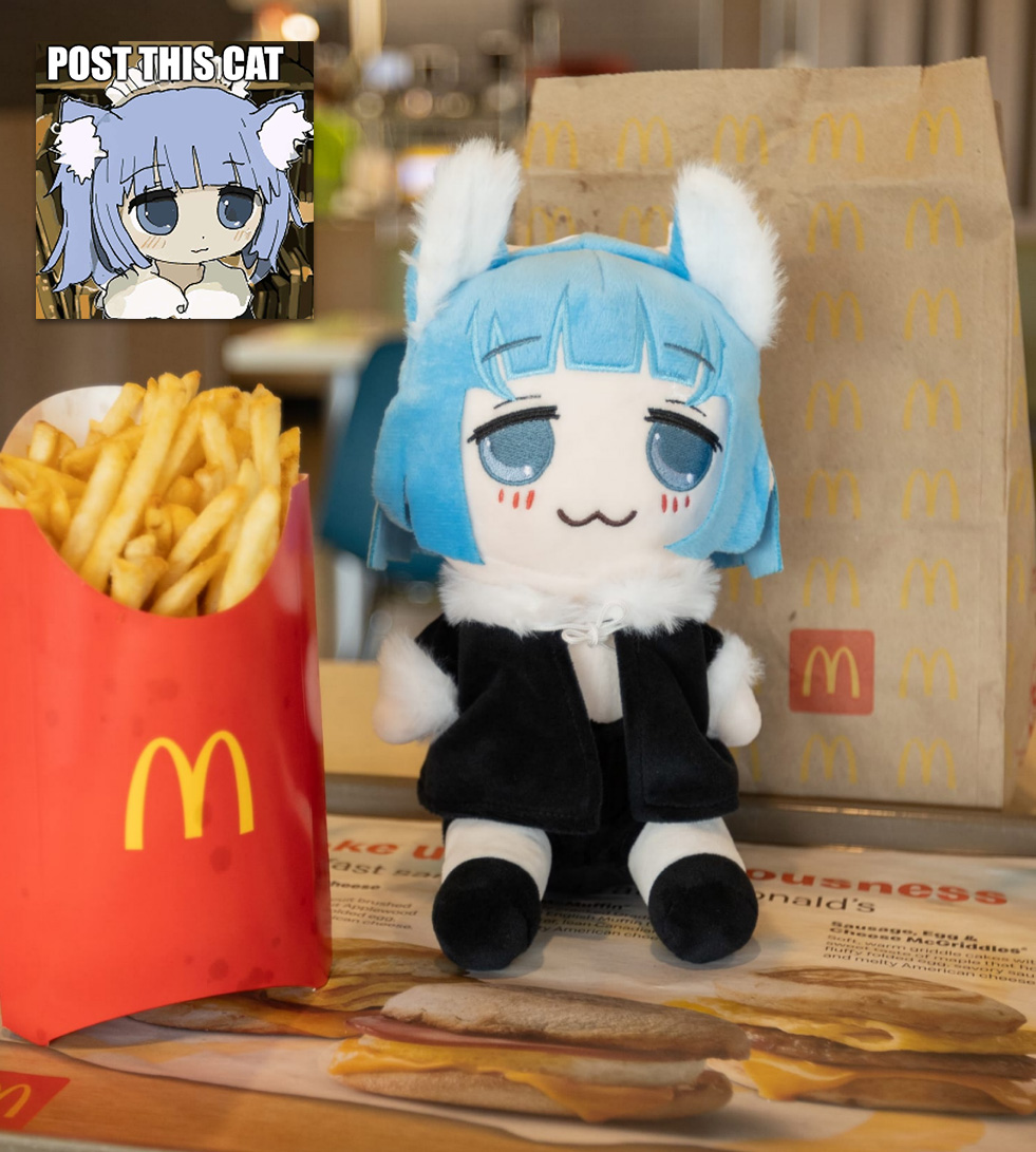 Kittykaki Mcdonalds